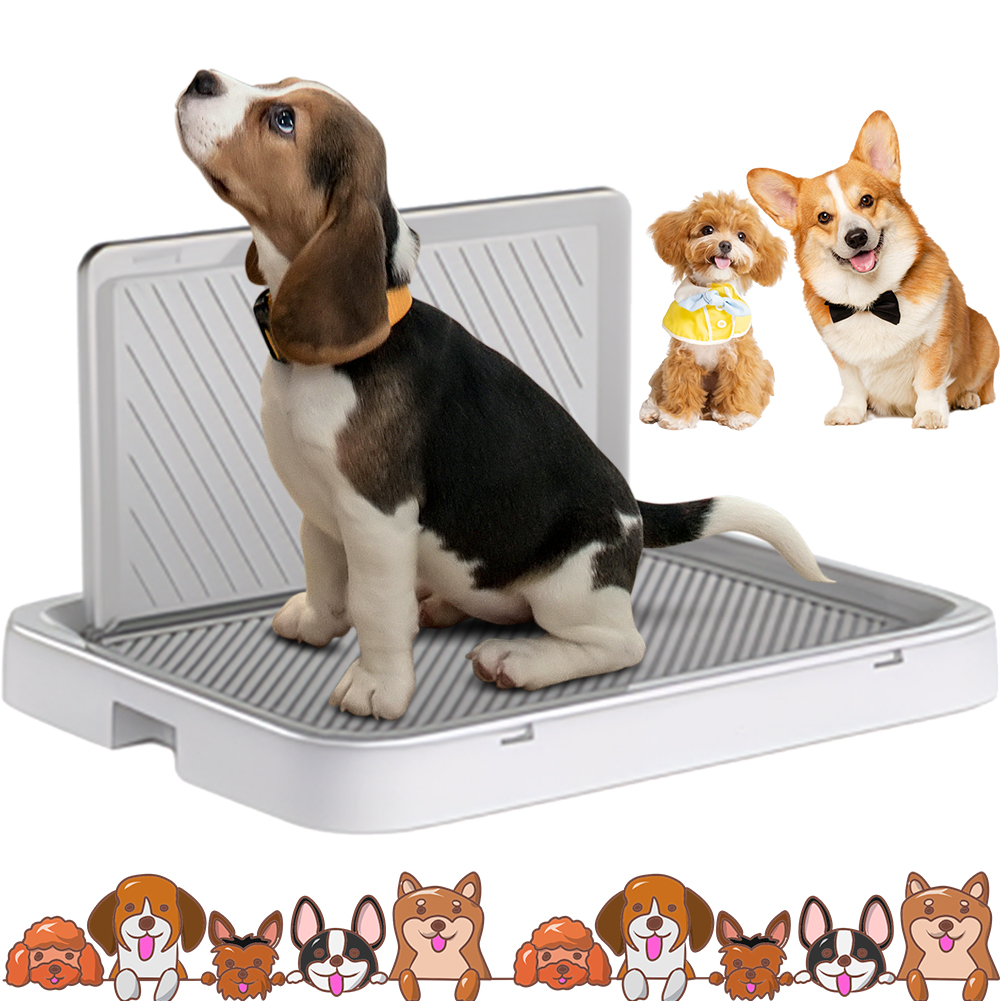 Sprinkler Splash Pad - Dog Potty Tray with Pee Wall