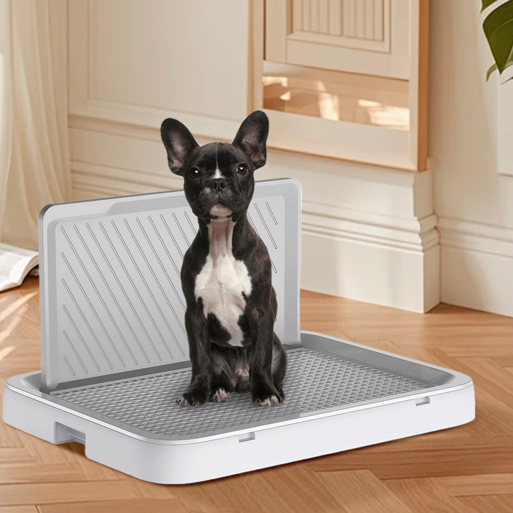 Dog Potty Tray with Pee Wall T - مراجعة Sprinkler Splash Pad وسعره