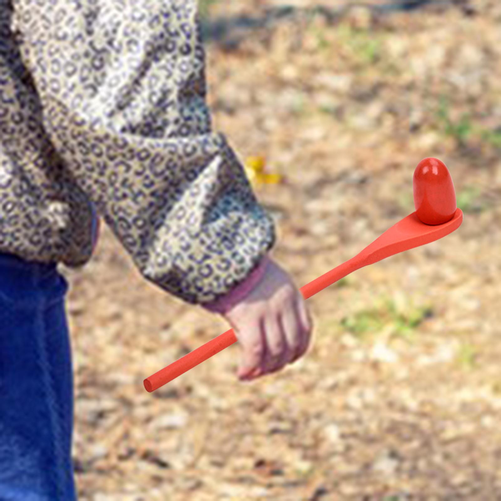 6 Pieces Egg Spoon Race Game H - مراجعة Kids Outdoor Yard وسعره